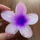 Заколка для волосся Hawaiian flower Крабик зажим Гавайский цветок Fashion Jewelry Набор из 3 штук Violet Фиолетовый - изображение 2