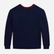 Подростковый теплый свитшот для мальчика Ralph Lauren 401349163 170 см Синий (1159838406) - изображение 5