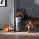 Очиститель воздуха Xiaomi Smart Air Purifier Elite (BHR6359EU) - изображение 8