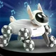 Трюковый робот собака на пульте управления, USB, DWI Robot / Игрушка робот пес / Интерактивная собака робот - изображение 4