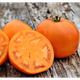 Томат Солидо F1 10 шт Lark Seeds (США) - изображение 2