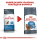 Корм для котів ROYAL CANIN Роял канін LIGHT WEIGHT CARE 1.5 кг. - изображение 3