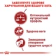 Корм для домашніх і вуличних котів ROYAL CANIN Роял канін FIT 10.0 кг. - изображение 6
