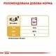 Вологий корм для дорослих собак ROYAL CANIN Роял канін CHIHUAHUA ADULT 0.085 кг 12шт. - изображение 3