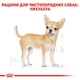 Вологий корм для дорослих собак ROYAL CANIN Роял канін CHIHUAHUA ADULT 0.085 кг 12шт. - изображение 7