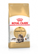 Корм для кошек породы Мейн-Кун Royal Canin Maine Coon Adult 10 кг - изображение 1