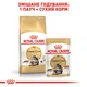 Корм для дорослих котів ROYAL CANIN Роял канін MAINECOON ADULT 10.0 кг. - изображение 4