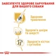 Корм для дорослих собак ROYAL CANIN Роял канін GERMAN SHEPHERD ADULT 11 кг. - изображение 5