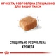 Корм для дорослих собак ROYAL CANIN Роял канін DACHSHUND ADULT 1.5 кг. - изображение 5