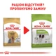 Корм для дорослих собак ROYAL CANIN Роял канін YORKSHIRE TERRIER ADULT 8+ 1.5 кг. - изображение 2