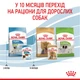 Вологий корм для щенят ROYAL CANIN Роял канін XSMALL PUPPY шматочки в соусі 0.085 кг 12шт. - изображение 8