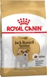 Корм для собак породы Джек-Рассел-Терьер Royal Canin Jack Russell Terrier Adult 7,5 кг - изображение 1