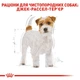Корм для дорослих собак ROYAL CANIN Роял канін JACK RUSSEL ADULT 7.5 кг. - изображение 6