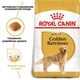 Корм для дорослих собак ROYAL CANIN Роял канін GOLDEN RETRIEVER ADULT 12 кг. - изображение 1