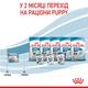 Вологий корм для новонароджених собак ROYAL CANIN Роял канін STARTER MOUSE 0.195 кг. - изображение 9