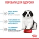 Корм для цуценят ROYAL CANIN Роял канін GIANT PUPPY 15 кг. - изображение 4