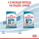 Корм для цуценят ROYAL CANIN Роял канін GIANT PUPPY 15 кг. - изображение 9