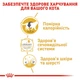Вологий корм для дорослих котів ROYAL CANIN Роял канін BRITISH SHORTHAIR ADULT 0.085 кг 12шт. - изображение 5