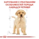 Корм для цуценят ROYAL CANIN Роял канін LABRADOR PUPPY 12 кг. - изображение 7