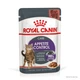 Вологий корм для дорослих котів ROYAL CANIN Роял канін APPETITE CONTROL CARE шматочки в соусі 85 г 12шт. - зображення 1