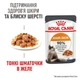 Вологий корм для дорослих котів ROYAL CANIN Роял канін HAIR & SKIN IN GRAVY 0.085 кг 12шт. - зображення 5