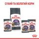 Вологий корм для дорослих котів ROYAL CANIN Роял канін APPETITE CONTROL CARE шматочки в соусі 85 г 12шт. - зображення 4