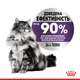 Вологий корм для дорослих котів ROYAL CANIN Роял канін APPETITE CONTROL CARE шматочки в соусі 85 г 12шт. - зображення 6