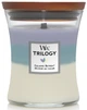 Ароматична свічка в склі з тришаровим ароматом Woodwick Medium Trilogy Calming Retreat 275 г (92965E) - зображення 1