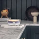 Ароматическая свеча с трехслойным ароматом Woodwick Ellipse Evening Luxe Trilogy 453 г (1743624E) - изображение 4