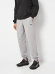 Спортивные штаны мужские Puma F1 Essentials 62572905 XL Gray Echo (4069157160155) - изображение 1