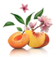 Чай в капсулах для кавоварок Dolce Gusto "Peach & Apricot Dream" 10 капсул (потрібен адаптер) - изображение 3