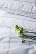 Комплект постельного белья Ecotton Евро 210х220 см Premium вышивка + кант Бежевый Перкаль (25144_000) - изображение 3