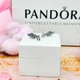 Срібні сережки «Крила Ангела» Пандора Pandora 298493C01 - зображення 4