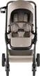 Коляска Britax-Romer Rio Teak (2000041613) - изображение 2