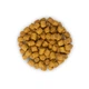 Сухой корм для котов Hills Science Plan Feline Adult 1-6 Lamb Rice Ягненок и Рис 10 кг - изображение 3