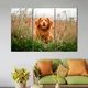 Триптих модульная картина по фото 128x81 см (F-31_L) - изображение 4