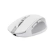 Мышь Trust Ozaa Compact Multi-Device Wireless White (24933) - изображение 4