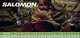 Черевики Salomon QUEST 4D Forces 2 High GTX Coyote розм.11 (46 EUR) - зображення 2