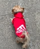 Толстовка для собак Adidog M Красный - изображение 10