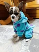 Костюм для собак флісовий Саллі XL Блакитний - зображення 12
