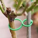 Набор садовых зажимов для растений PlantClamps, 200 штук - изображение 2