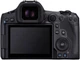 Фотоаппарат Canon EOS R5 + 24-105 mm f/4L IS USM (4147C013) - изображение 4