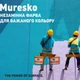Краска фасадная силиконовая Caparol Muresko бесцветная B3 2,35 л - изображение 4