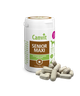 Кормовая добавка для собак Canvit Senior Maxi for dogs 230 г - изображение 2