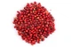 Краска для семян красная REDCORN 1 л - изображение 6