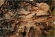 Консервант древесины ConWood Cristal Premium без маркера 25 кг - изображение 4