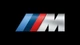 Эластичный чехол для автомобиля с защитой от пыли и царапин BMW 6 серії / M6, 8 серії / M8 black + logo - изображение 2