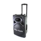 Портативная колонка Su-Kam BT 120D 150 Вт 12-15 часов работы - изображение 2
