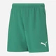 Детские шорты на резинке для мальчика Puma Teamrise 70494305 134-140 см Зеленые (4063699213492) - изображение 1