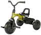 Rowerek trójkołowy Qplay Ant Plus Green (5061047480748) - obraz 3